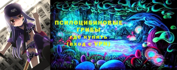 мдпв Гусь-Хрустальный