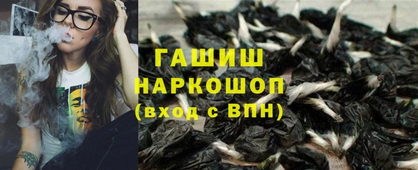 стафф Михайловск