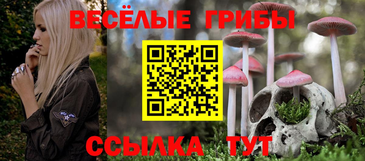 Псилоцибиновые грибы GOLDEN TEACHER  где можно купить   Вход с VPN  Кубинка  Галлюциногенные грибы прущие грибы 